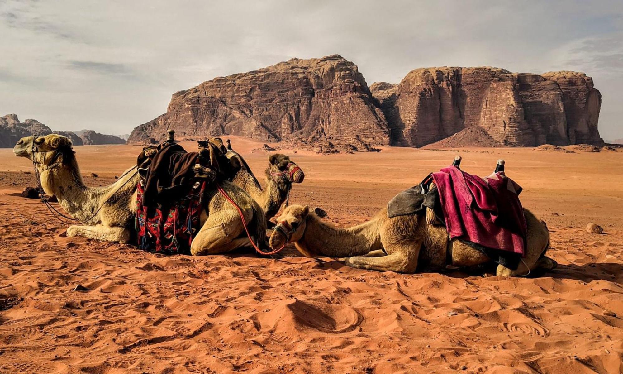 Wadi Rum Caeser Camp Hotel Buitenkant foto